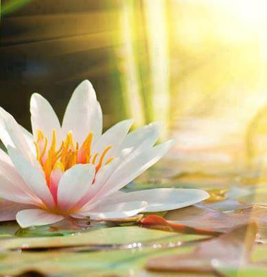 Reikirol-Denes-Zsofia